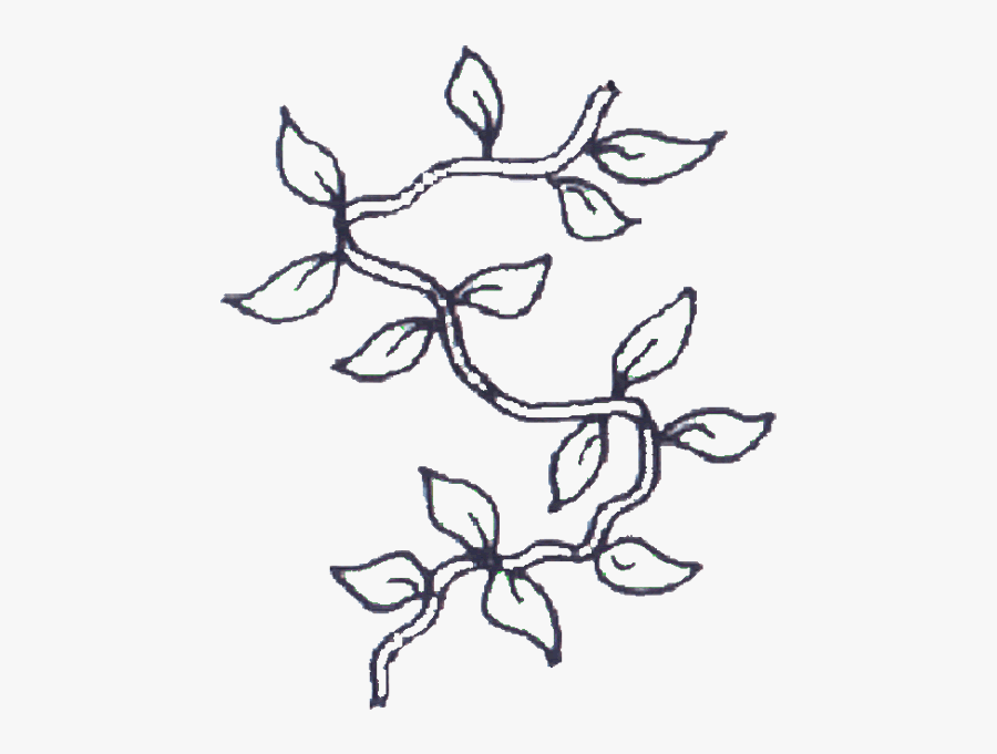 Clip Art Simple Vine Drawing - Vines Coloring Page , Free Transparent ...