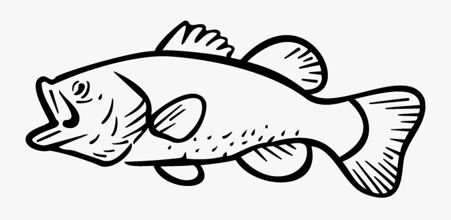 Bass Fishing Largemouth Bass Clip Art - Largemouth Bass Drawing Outline, Transparent Clipart
