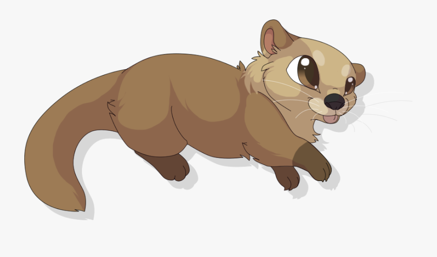 Cute Sea Otter Drawing, Transparent Clipart