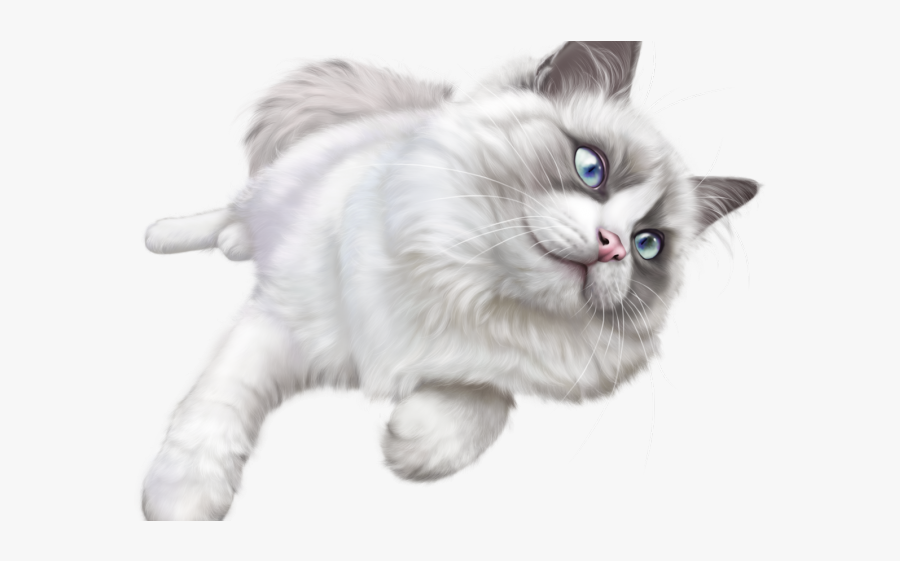 Cat On Transparent Background, Transparent Clipart