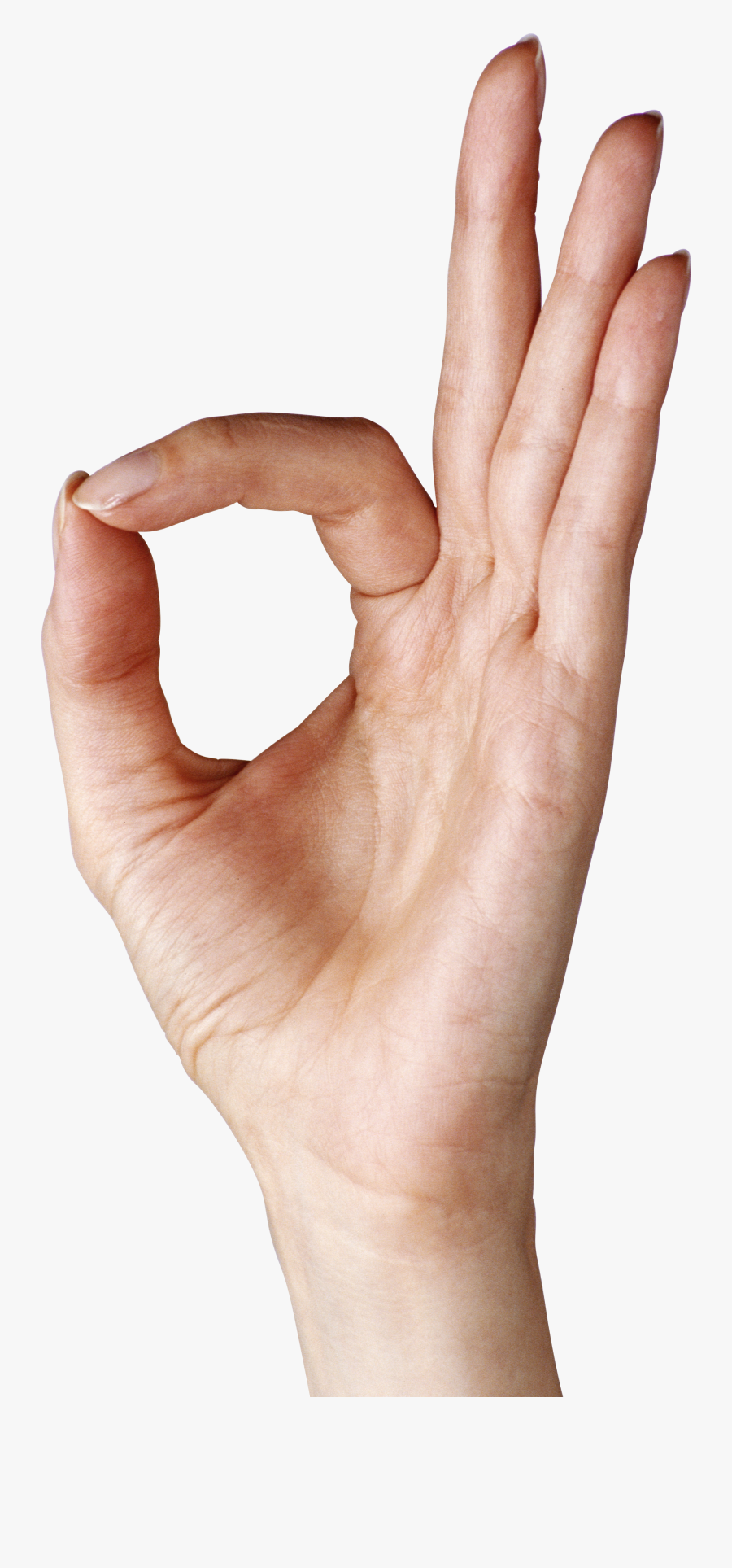 Transparent Ok Hand Png, Transparent Clipart