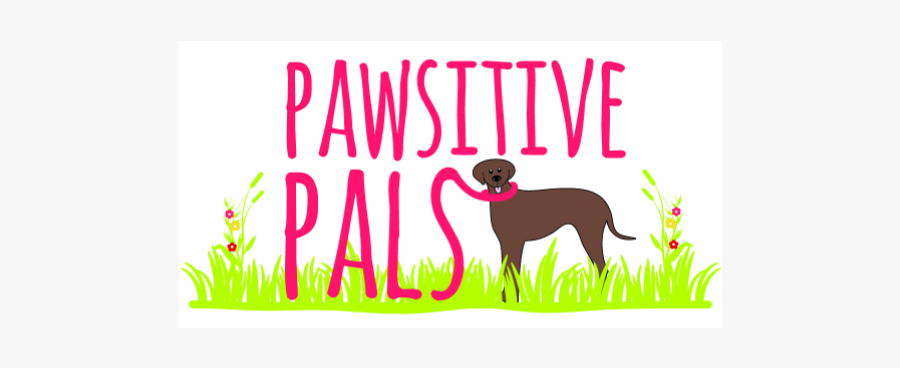Pawsitive Pals - Dog Catches Something, Transparent Clipart