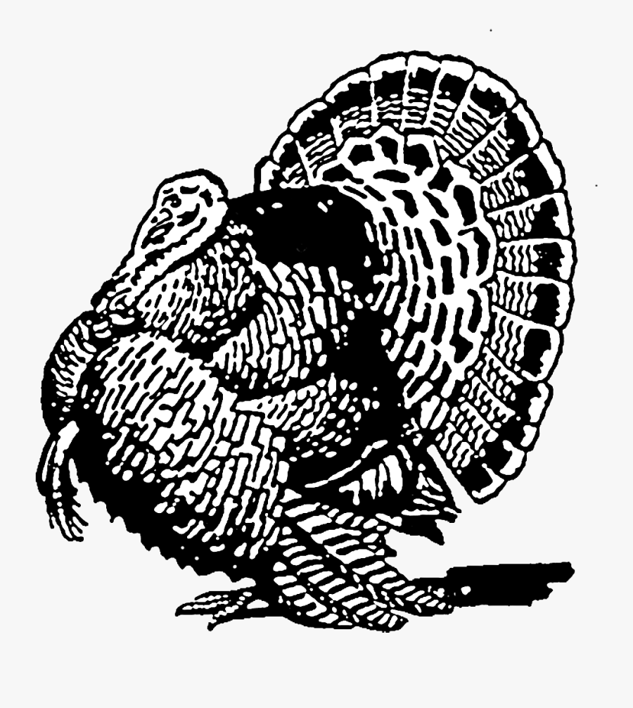 Wild Turkey Clipart Black And White , Free Transparent Clipart - ClipartKey