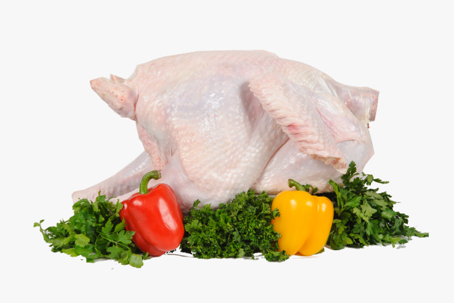 Turkey Food Png - Turkey Meat, Transparent Clipart