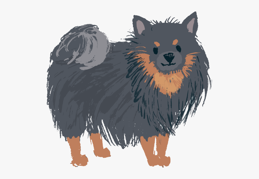 Pomeranian Black And Tan - Dog Dog Pomeranian Transparent Background, Transparent Clipart