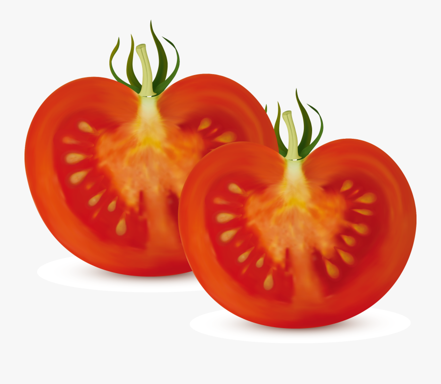 Bush Clipart Vegetable Plant - Tomato Cut In Half, Transparent Clipart