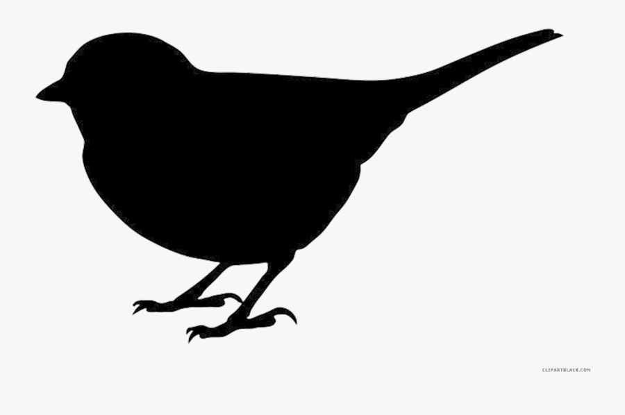 Bird Silhouette Animal Free Black White Clipart Images - Blue Bird Silhouette Clipart, Transparent Clipart