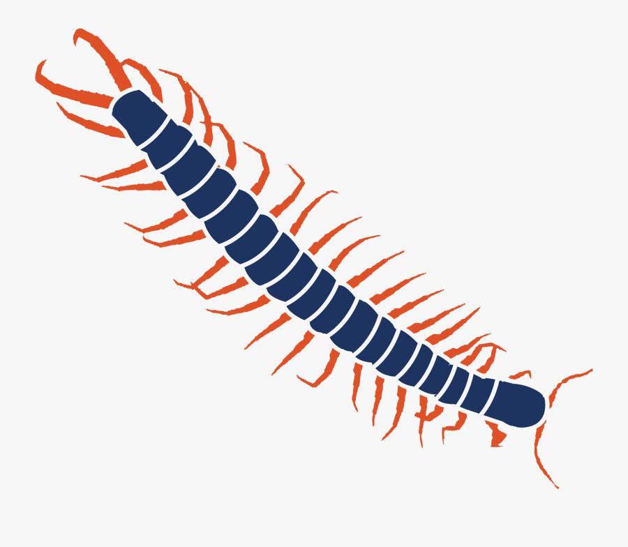 Millipedes , Free Transparent Clipart - Clipartkey