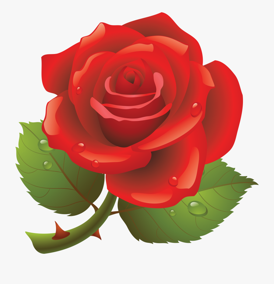 Rose Clipart Transparent Background - Red Rose Vector Png, Transparent Clipart