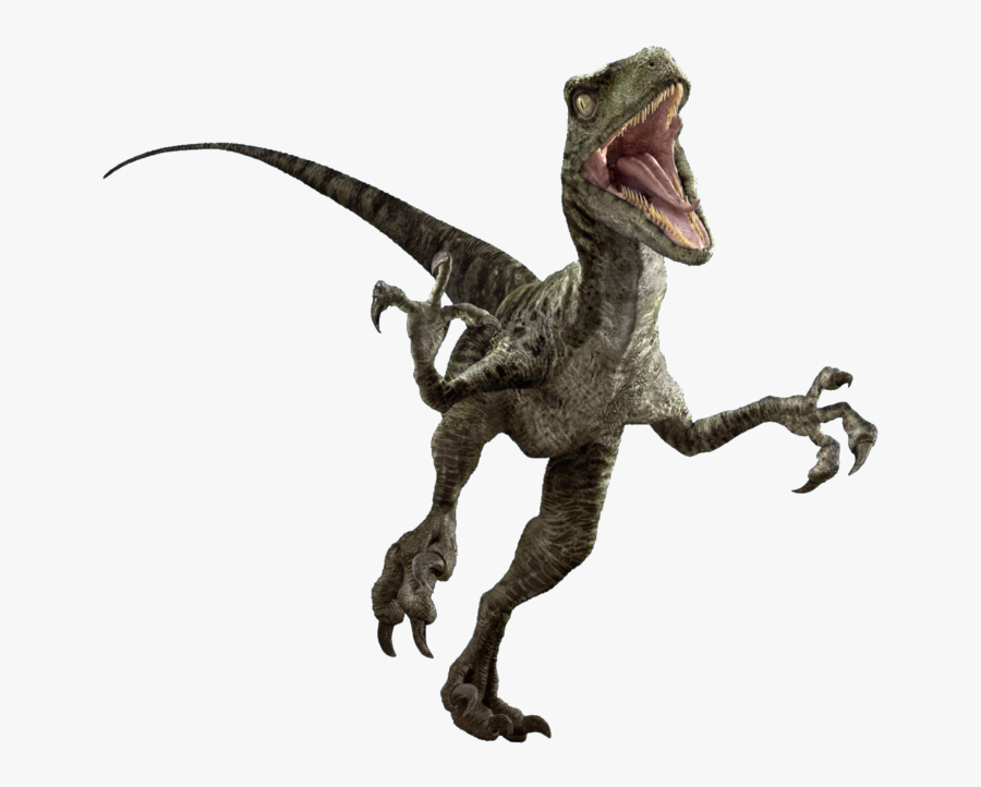 Collection Of Free Velociraptor Drawing Jurassic Park - Jurassic World Velociraptor Charlie, Transparent Clipart