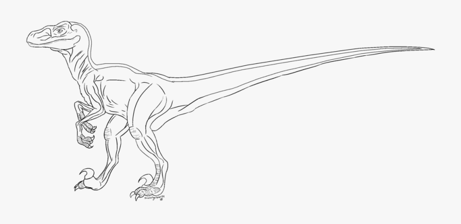 Velociraptor At Getdrawings Com - Line Art, Transparent Clipart