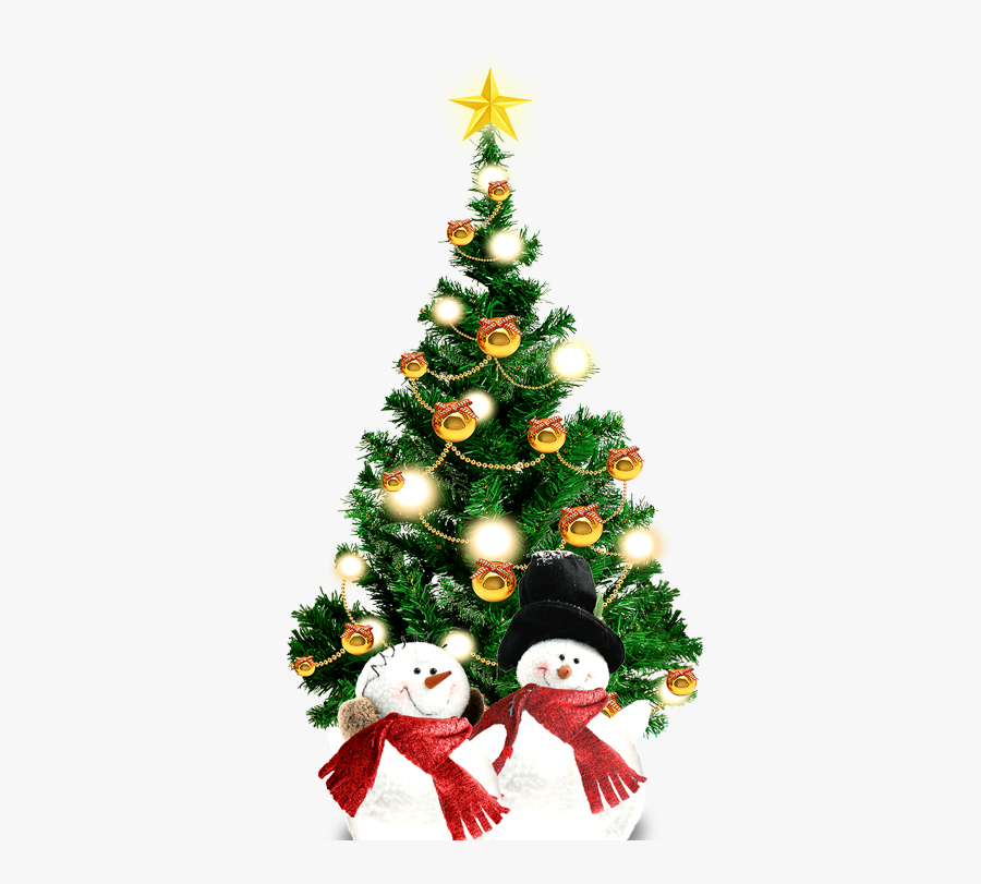 Clip Art Tree Ornament Spruce Fir - Christmas Tree, Transparent Clipart