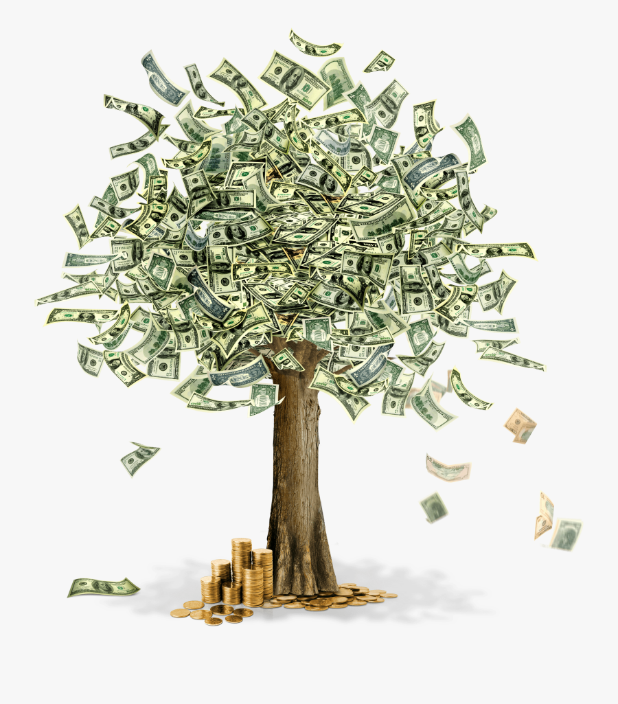 Clipart Flower Money - Money Tree With 100 Dollars, Transparent Clipart