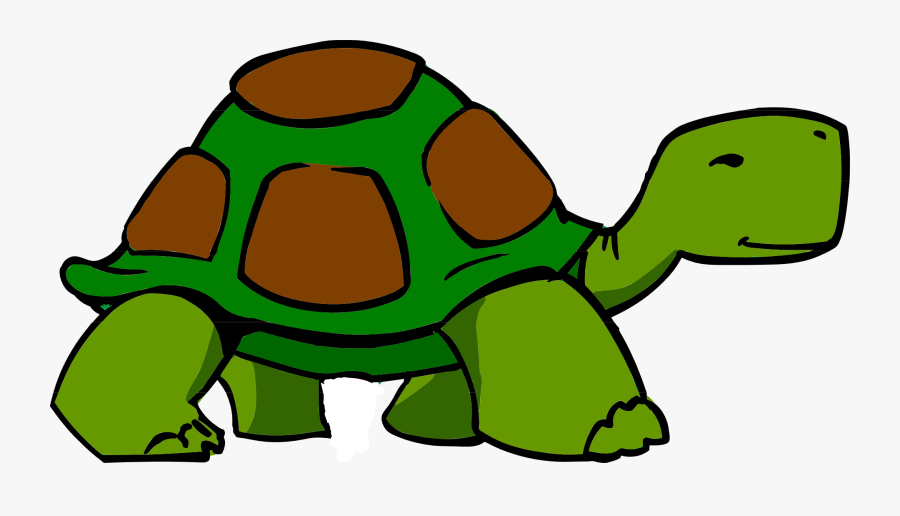Turtle Brown Green Free Picture - Turtle Clipart, Transparent Clipart