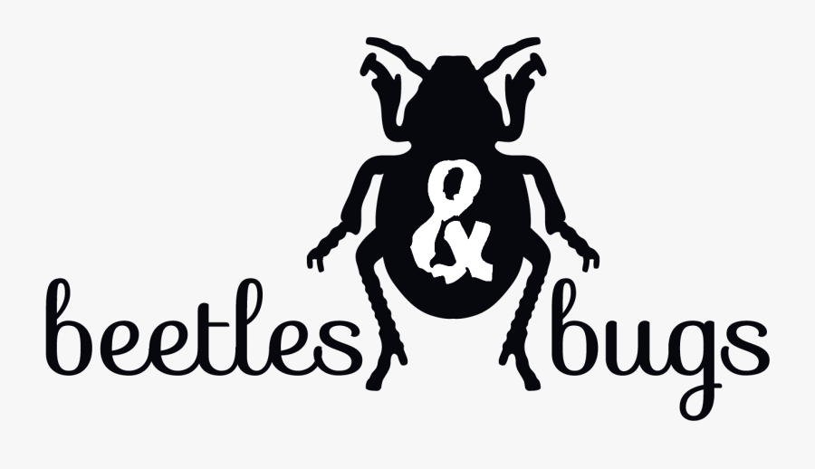 Beetles & Bugs - Illustration, Transparent Clipart