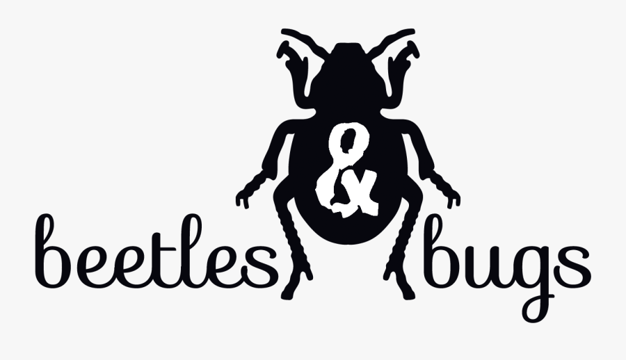 Beetles & Bugs - Illustration , Free Transparent Clipart - ClipartKey