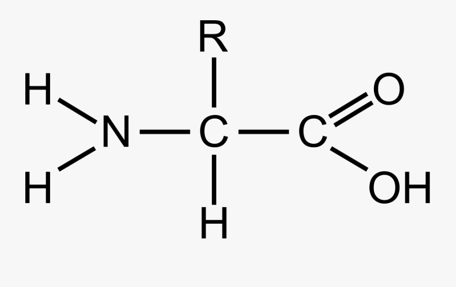 Amino - Clipart - Amino Acid, Transparent Clipart