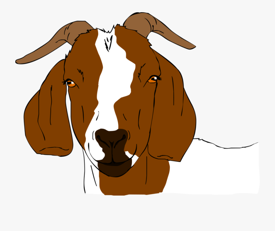 Boer Goat Clip Art - Boer Goat Face Drawing, Transparent Clipart