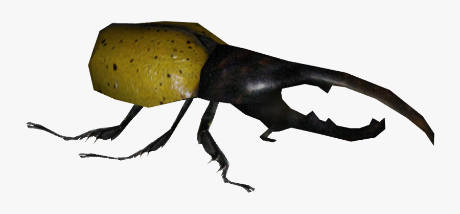 Beetle Transparent Hercules - Japanese Rhinoceros Beetle, Transparent Clipart