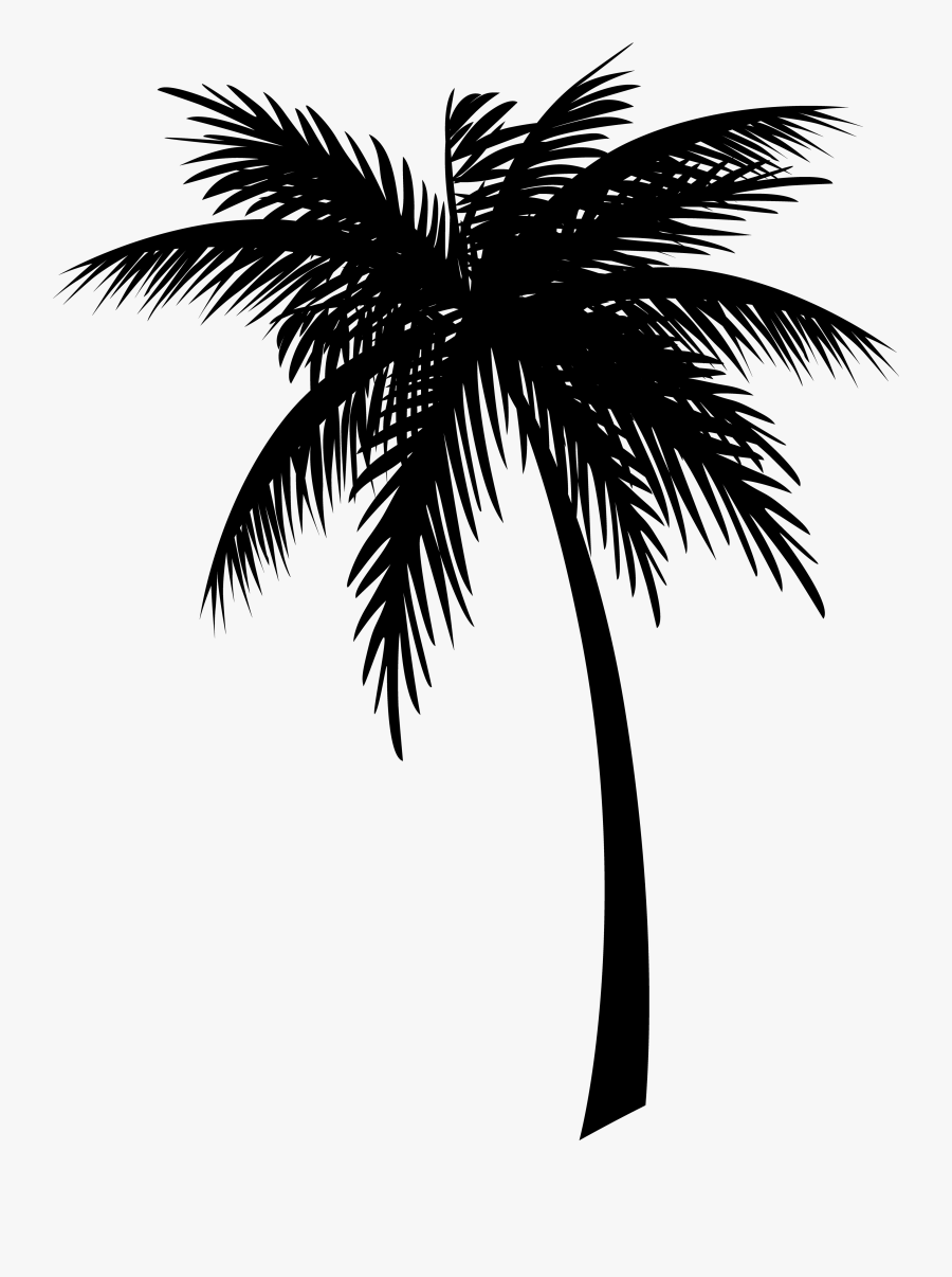 Jamaica Coconut Clip Art Drawing Palm Trees - Coconut Tree Vector Png ...