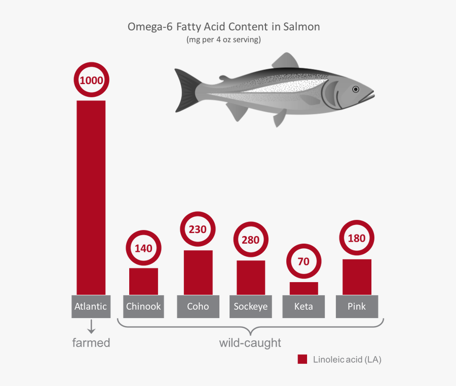 Wild Versus Farmed Feed - Antibiotic Salmon, Transparent Clipart