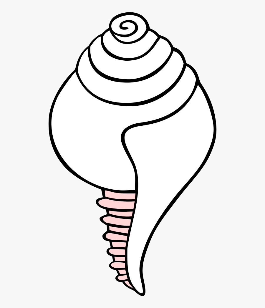 White Conch Symbol - Conch Shell Clip Art, Transparent Clipart