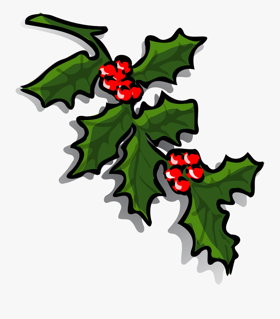 Transparent Holly Berries Png - Christmas Holly Clip Art, Transparent Clipart