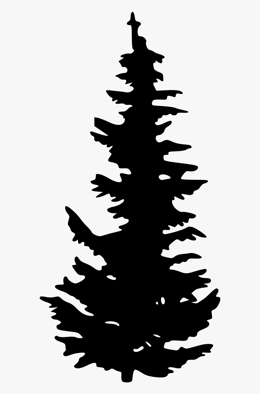 Evergreen Silhouette Tree Pine Clip Art - Evergreen Tree Silhouette, Transparent Clipart