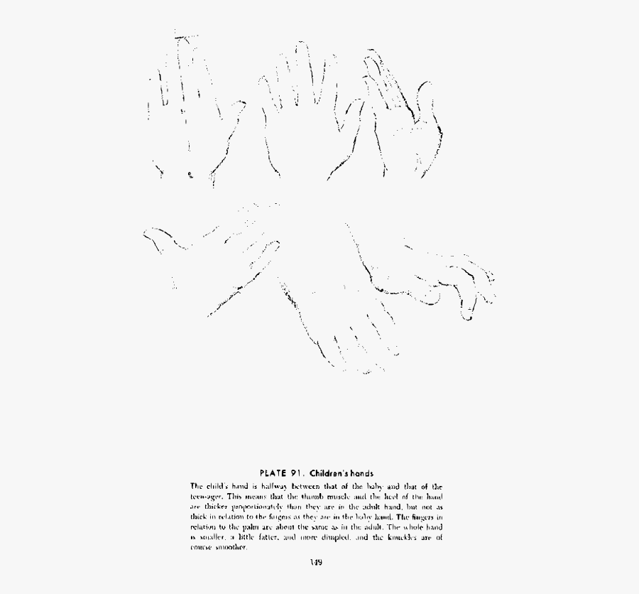 Andrew Loomis Drawing The Head And Hands 136 - Drawing, Transparent Clipart