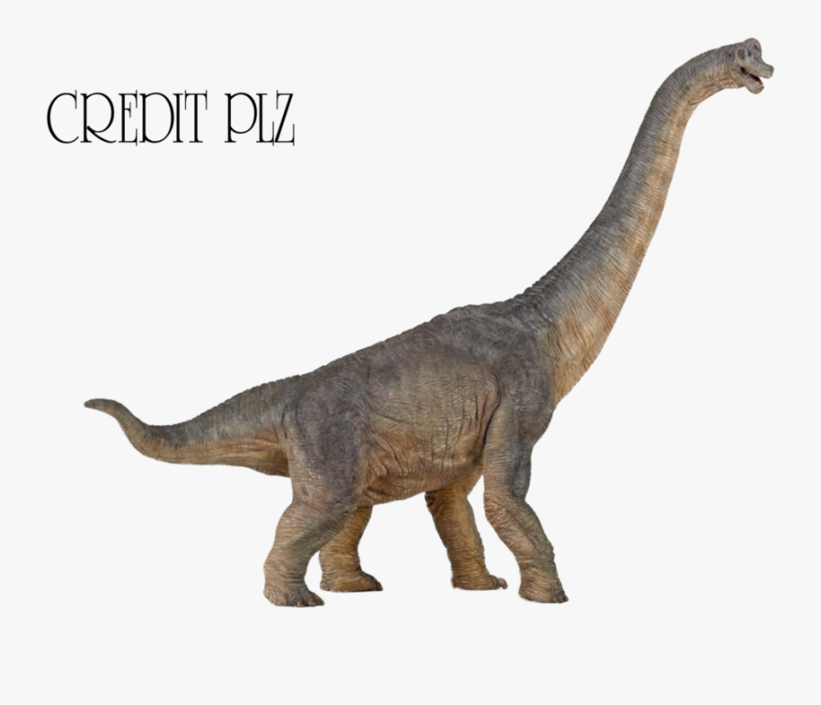 Transparent Brontosaurus Png - Brachiosaurus Dinosaur, Transparent Clipart