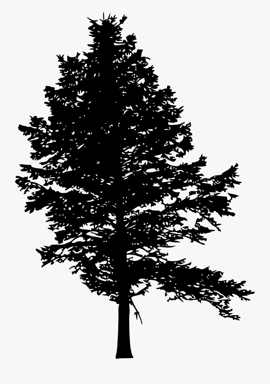 Pine Forest Silhouette Png, Transparent Clipart