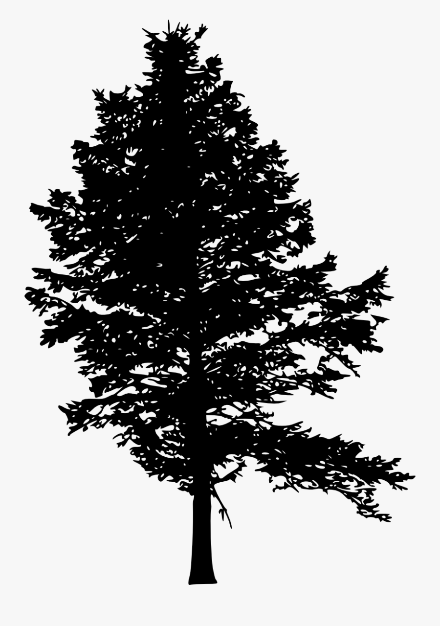 Pine Forest Silhouette Png , Free Transparent Clipart - Clipartkey