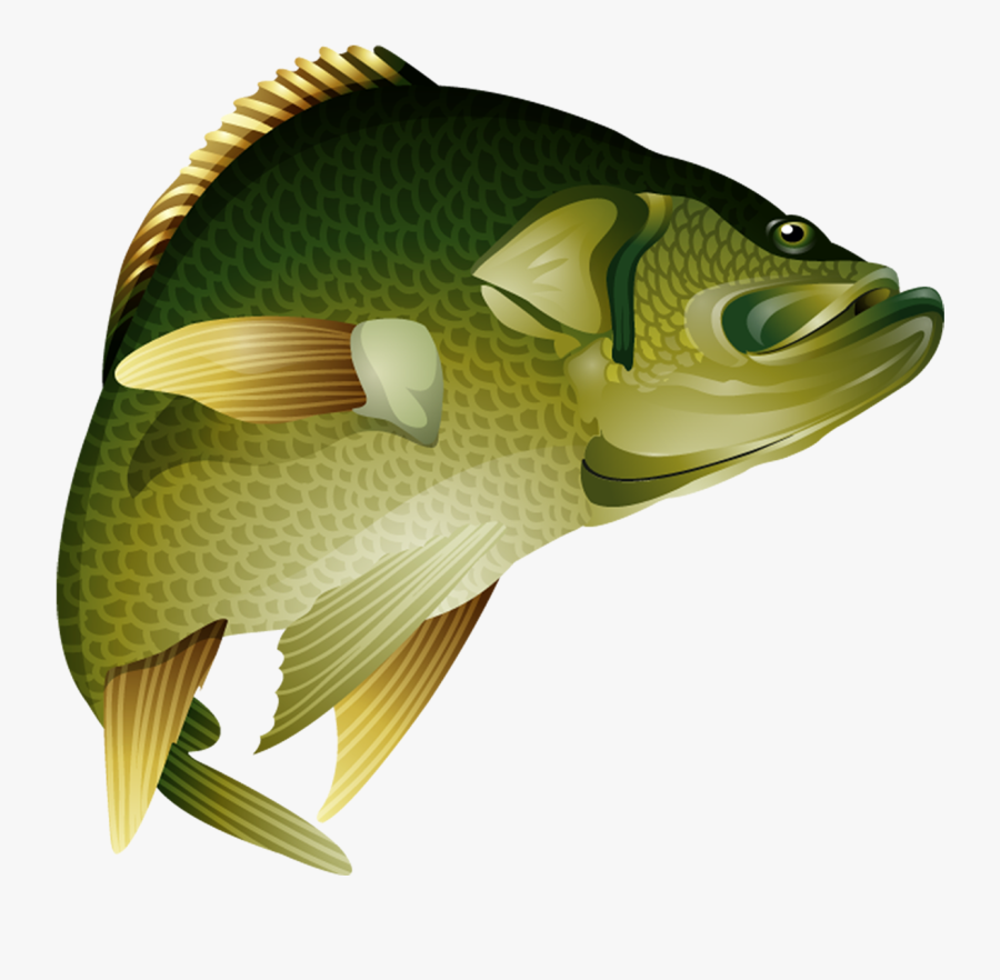 Transparent Bass Fish Silhouette Clipart Ikan Nila Vector Png Free Transparent Clipart Clipartkey