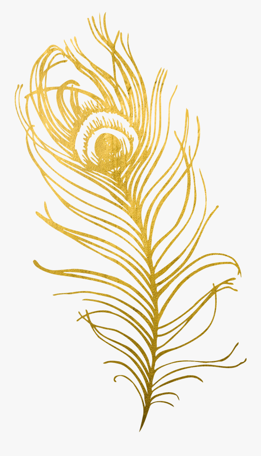 gold peacock feather png transparent cartoons gold peacock feather clipart free transparent clipart clipartkey gold peacock feather png transparent