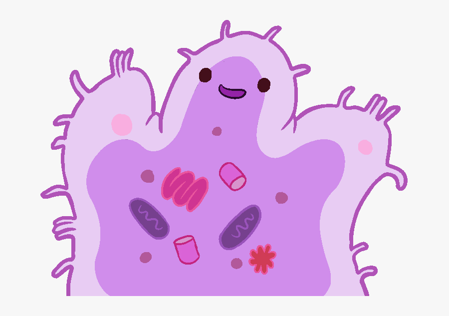Cute Bacteria Cartoon Transparent, Transparent Clipart