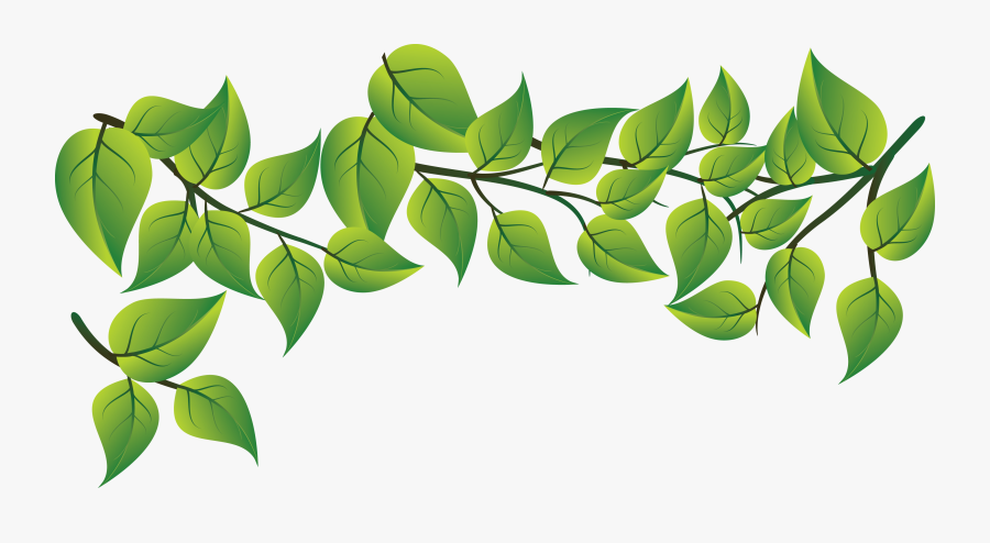 Green Leaves Vector Png - Green Leaves Png Vector, Transparent Clipart