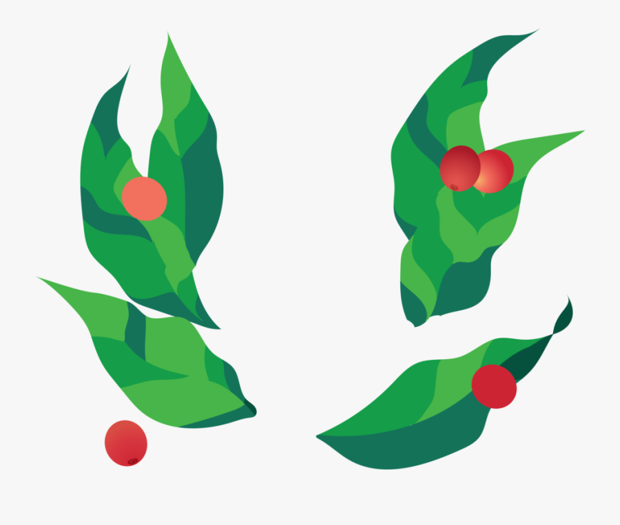 Coffee Plant Animation Png, Transparent Clipart