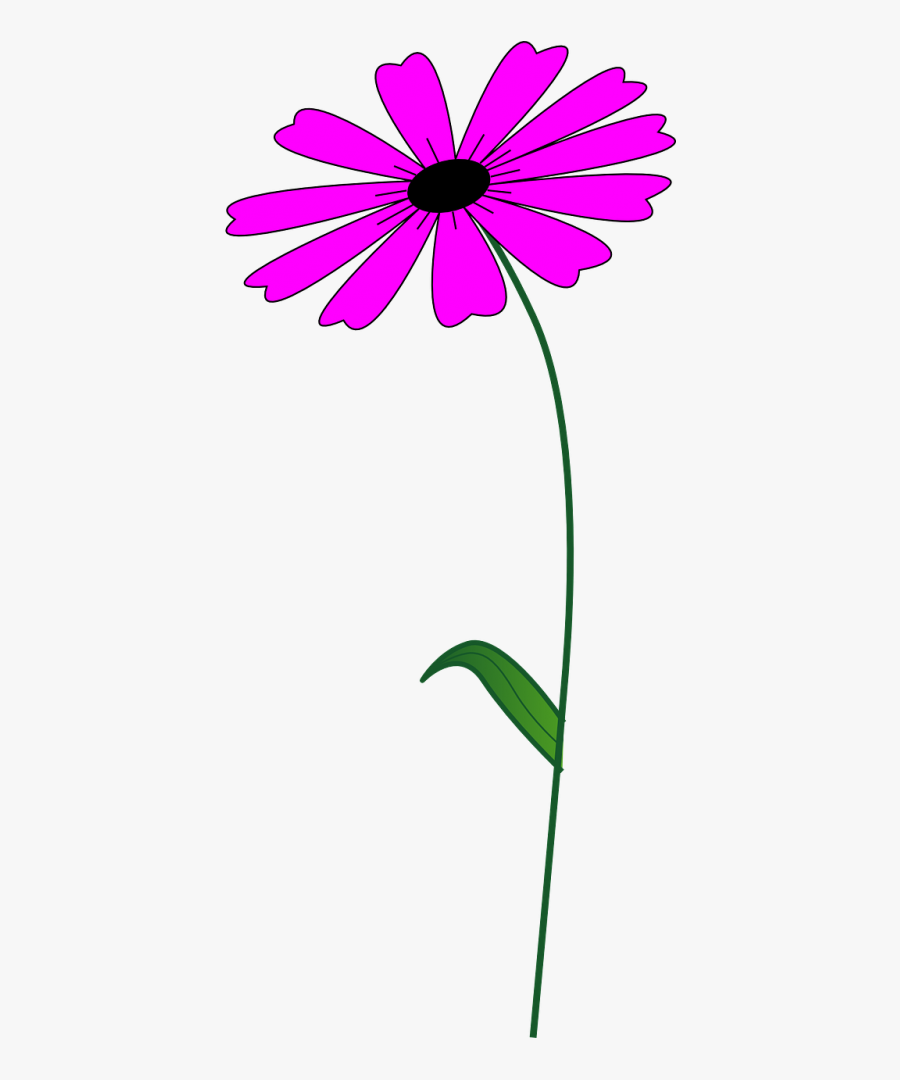 Flower, Transparent Clipart