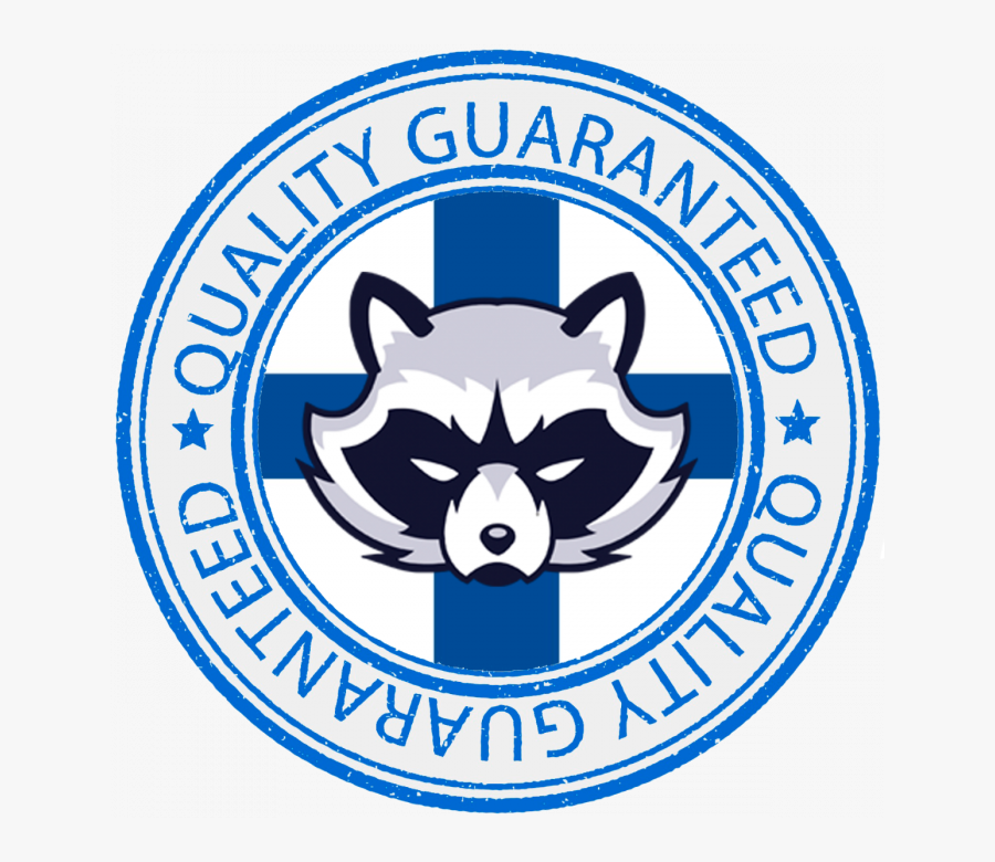 Raccoon, Transparent Clipart