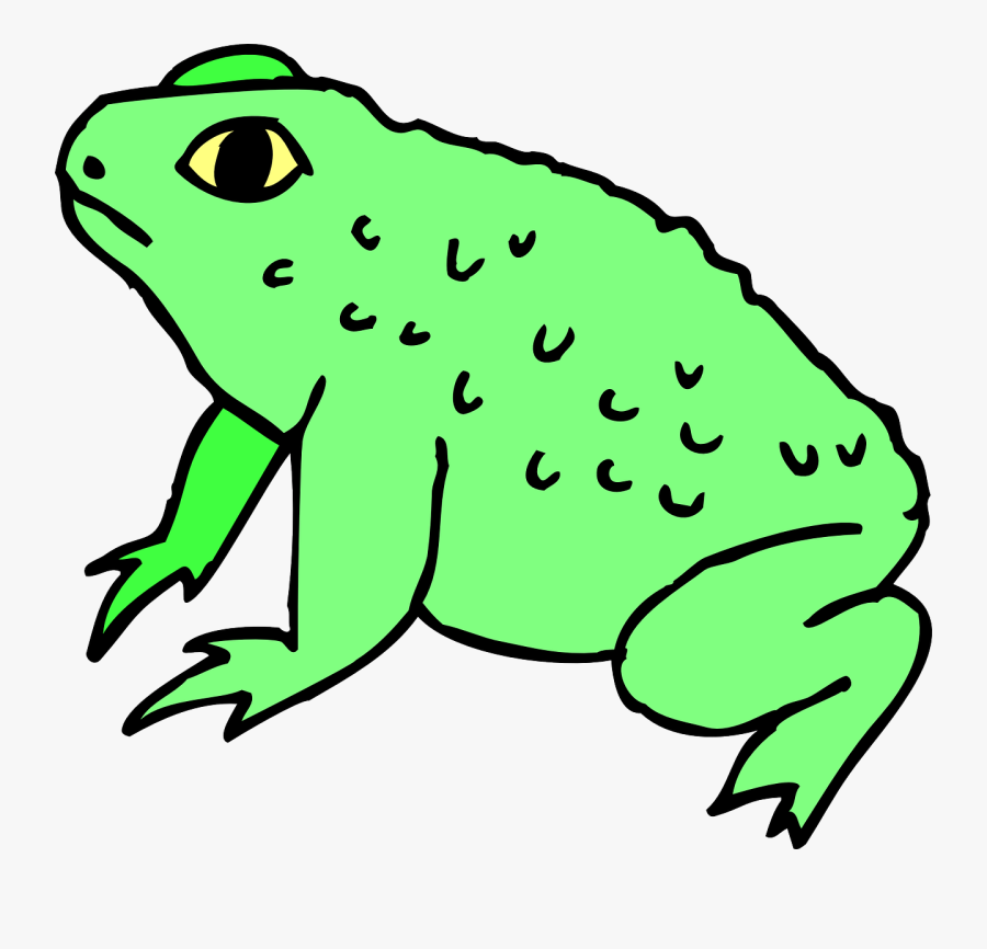 Toad Clipart, Transparent Clipart