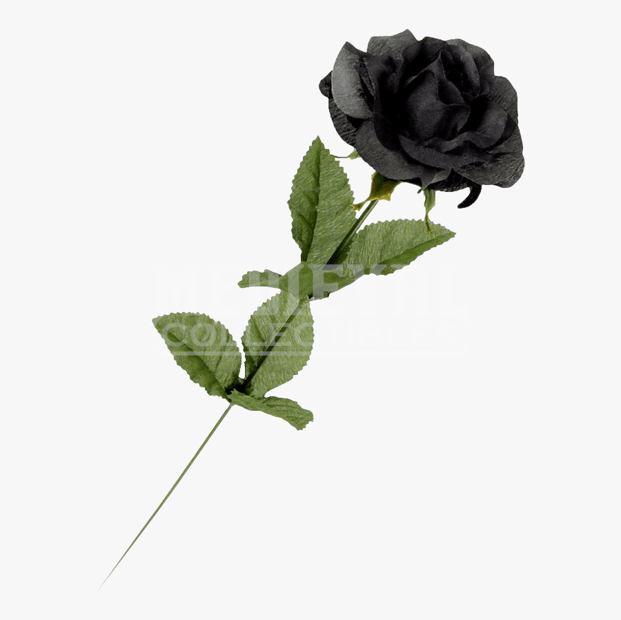 Real Single Black Rose - Black Rose Flowers Single , Free Transparent