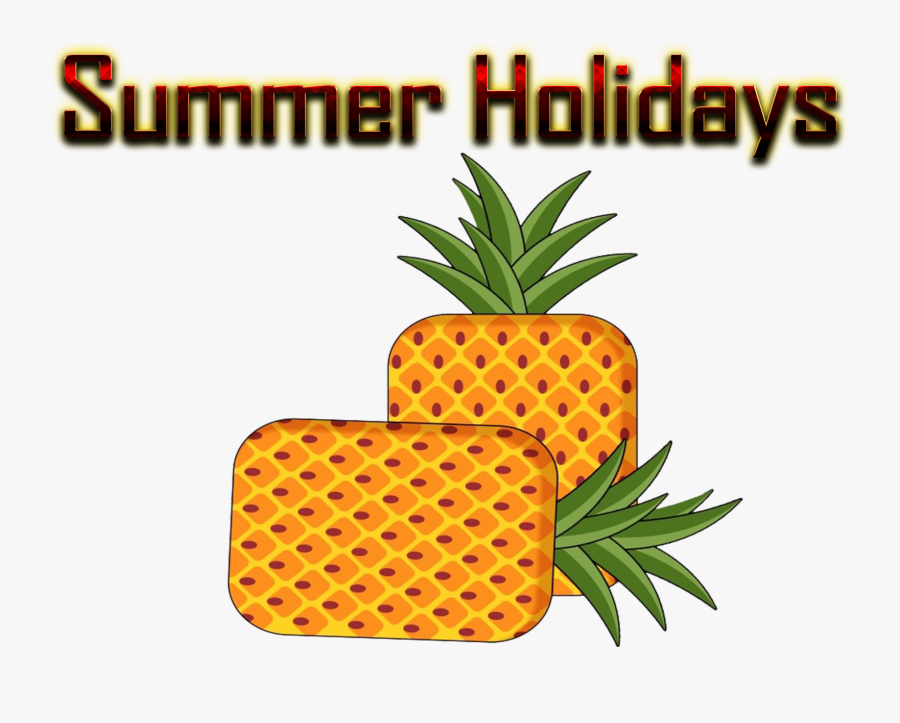 Bromeliaceae - Pineapple, Transparent Clipart