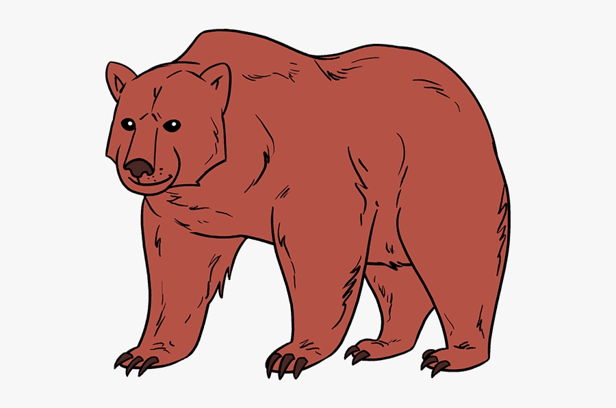 Easy Sun Bear Clipart Realistic Brown Drawing Free - Draw A Brown Bear, Transparent Clipart