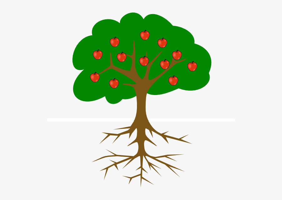 Clipart Trees Gumamela - Tree Drawing With Fruits, Transparent Clipart