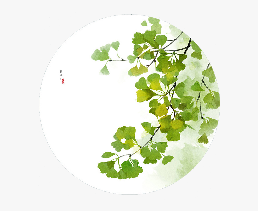 Ginkgo Biloba Clover Transprent Png Free Download - Ginkgo Biloba Tree Drawing, Transparent Clipart