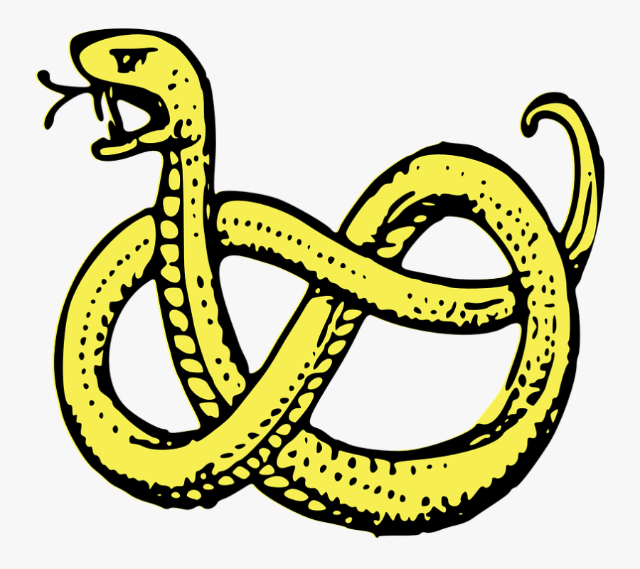 Coat Of Arms Symbols Snake, Transparent Clipart