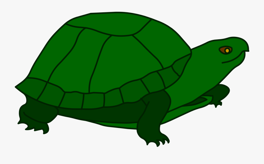 Transparent Turtle Clip Art - Tortoise , Free Transparent Clipart ...