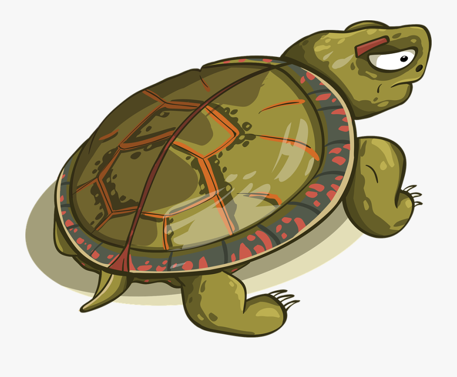 Tortoise, Shell, Amphibious, Reptile, Animal - Turtle Kick Vector, Transparent Clipart