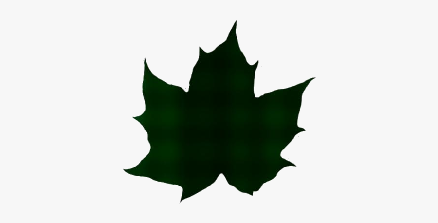 Transparent Cute Maple Leaf Vector - Brown Leaf Clipart, Transparent Clipart