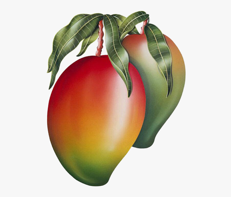 Mango Png Image & Mango Clipart - Natural Mango Png Images Hd, Transparent Clipart